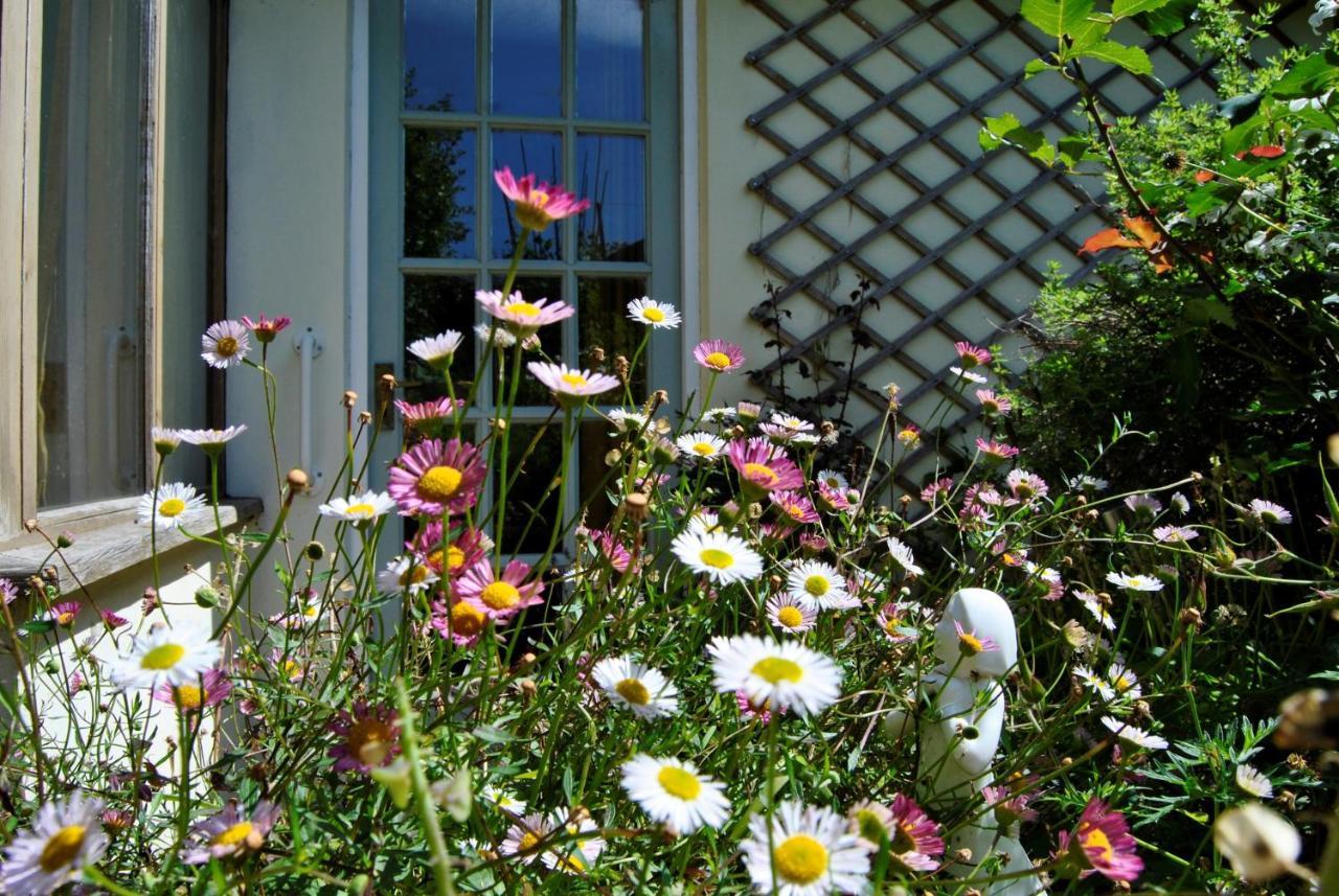 The Cottage Garden - A Herefordshire Retreat Ross-on-Wye Екстер'єр фото